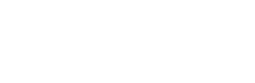 Southwest Public Policy Institute