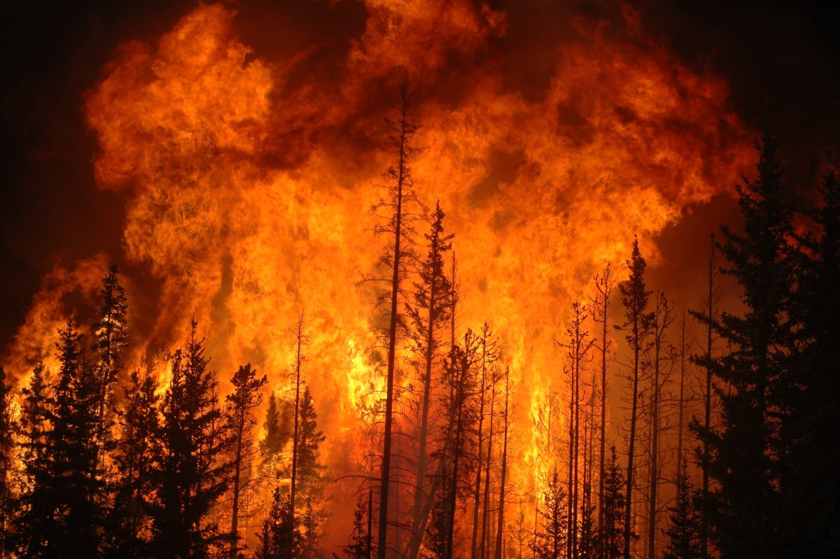 Calf Canyon Fire Hermits Peak Fire Water Crisis